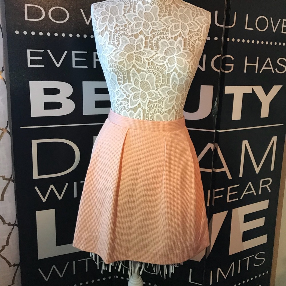 Pink Skater Skirt